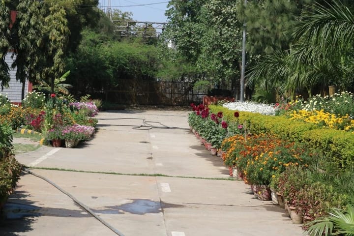 ARSD College Delhi campus in New Delhi, Delhi, India