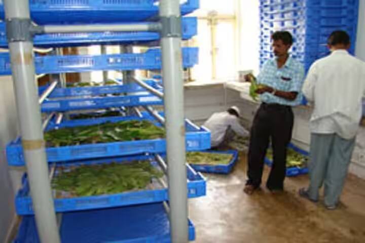 Central Tasar Research and Training Institute campus in Nagri, Jharkhand, India — photo 4