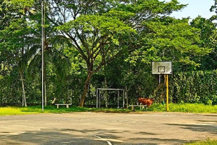 St John of God College of Special Education campus in Ayarkunnam, Kerala, India — photo 6