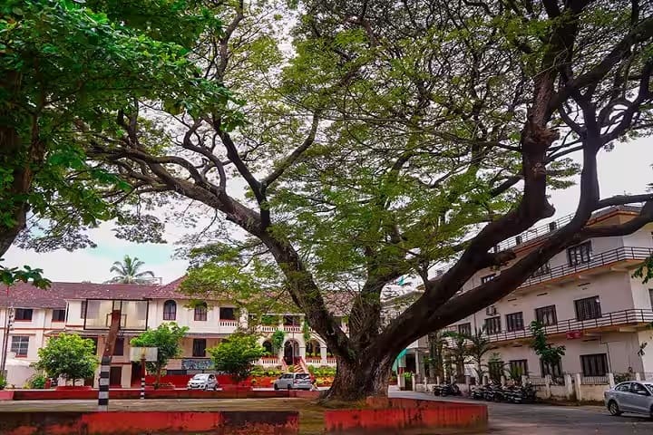 Mount Carmel College of Teacher Education campus in Kanjikuzhi, Kerala, India — photo 1