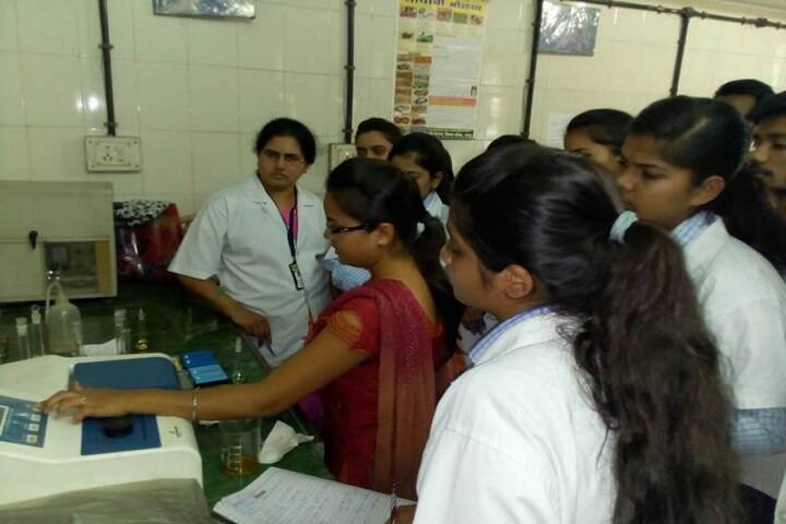Shree Tuljabhavani Sevabhavi Saikshanik and Samajik Sanstha campus in Chandrapur, Maharashtra, India — photo 4