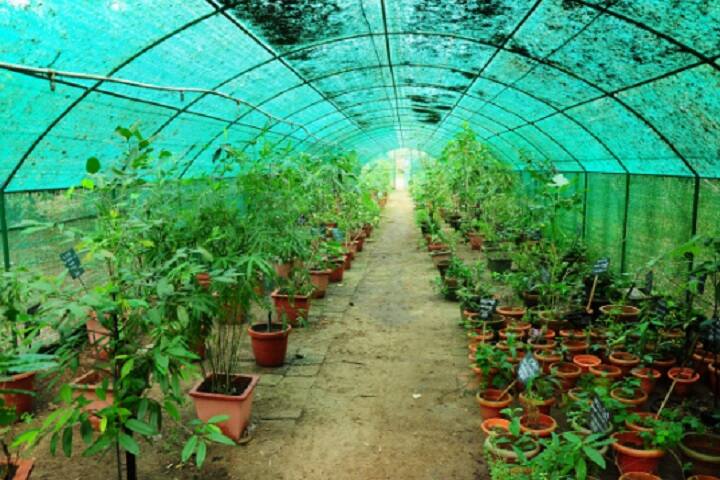 Shree Krishna College of Pharmacy campus in Sitapur, Uttar Pradesh, India — photo 4