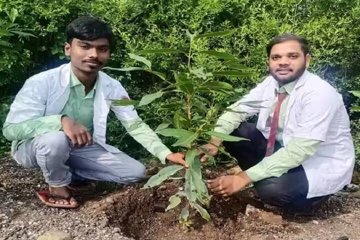 Thakur Shivkumarsingh Memorial Pharmacy College campus in Burhanpur, Madhya Pradesh, India — photo 3