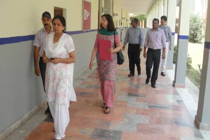 Sanskriti College of Education campus in Rohtak, Haryana, India — photo 2