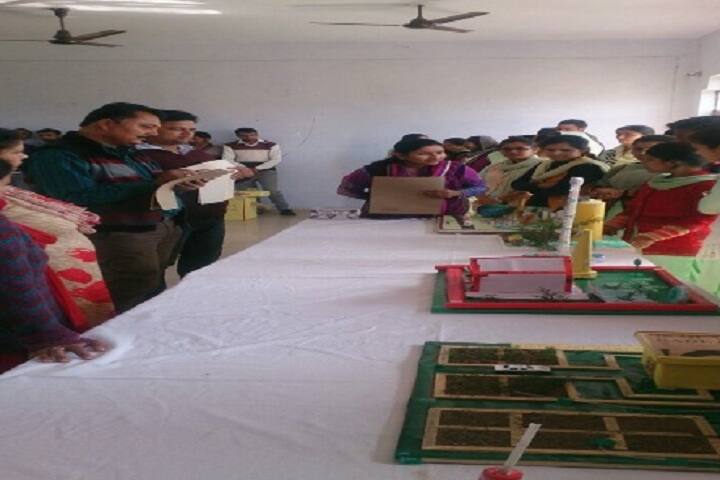 New Age College of Education campus in Kathua, Jammu and Kashmir, India — photo 4