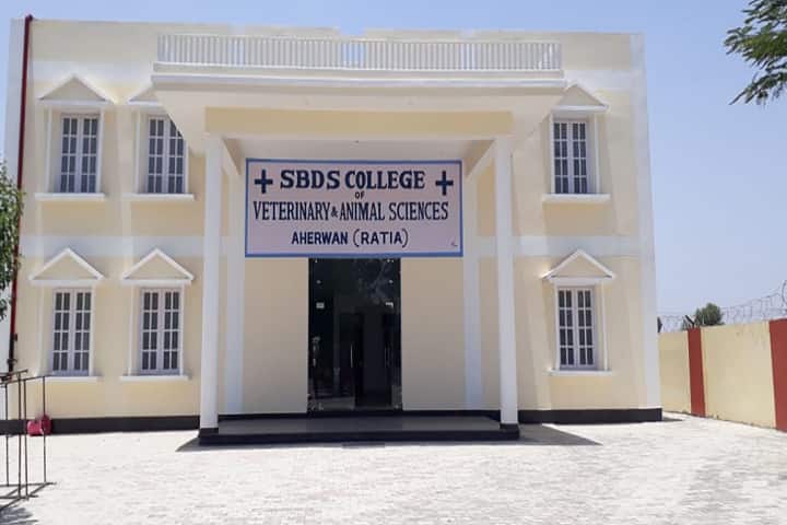 SBDS College of Veterinary and Animal Sciences campus in Fatehabad, Haryana, India — photo 1