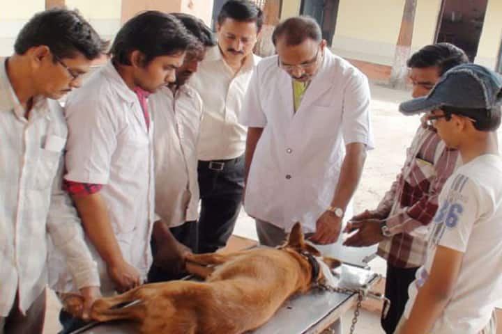 Post Graduate Institute of Veterinary and Animal Sciences campus in Akola, Maharashtra, India — photo 6