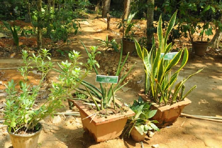 Santhigiri Siddha Medical College campus in Thiruvananthapuram, Kerala, India — photo 3