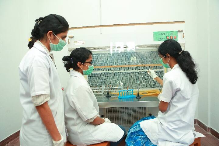 Nirmala College of Pharmacy campus in Ernakulam, Kerala, India — photo 6