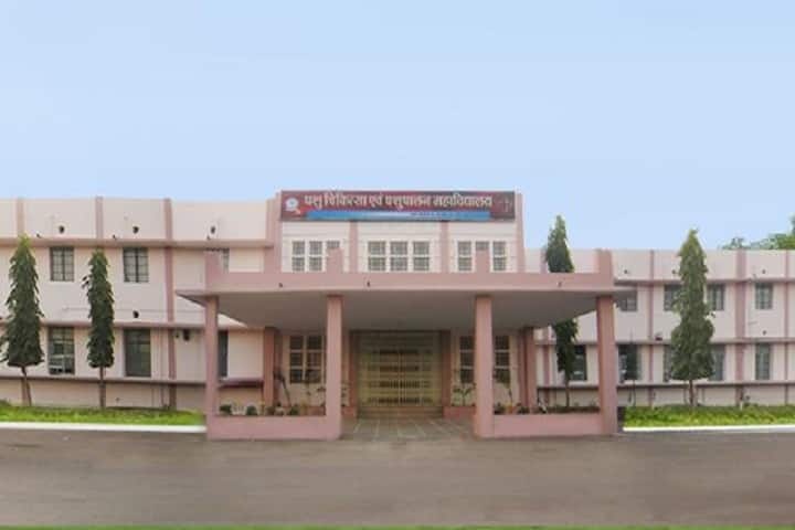 Dau Shri Vasudev Chandrakar Kamdhenu Vishwavidyalaya campus in Durg, Chhattisgarh, India — photo 2