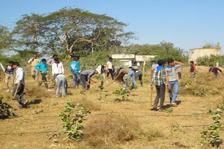College of Agricultural Engineering and Technology campus in Junagadh, Gujarat, India — photo 5