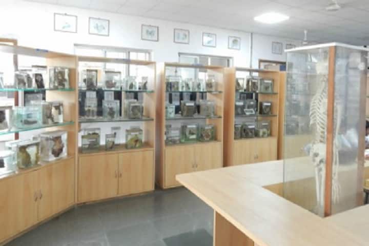 MGM Institutes University Department of Prosthetics and Orthotics campus in Navi Mumbai, Maharashtra, India — photo 3