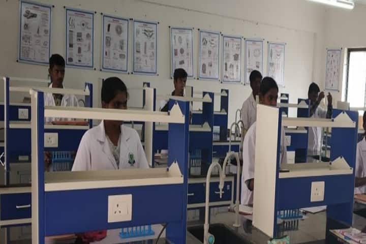 SS Institute of Pharmacy campus in Salem, Tamil Nadu, India — photo 4