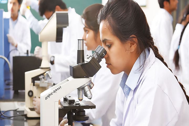 Chitkara School of Health Sciences campus in Chandigarh, India — photo 4