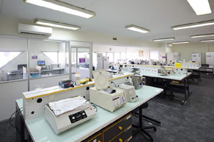 Seiko College of Pharmacy campus in Lucknow, Uttar Pradesh, India — photo 5