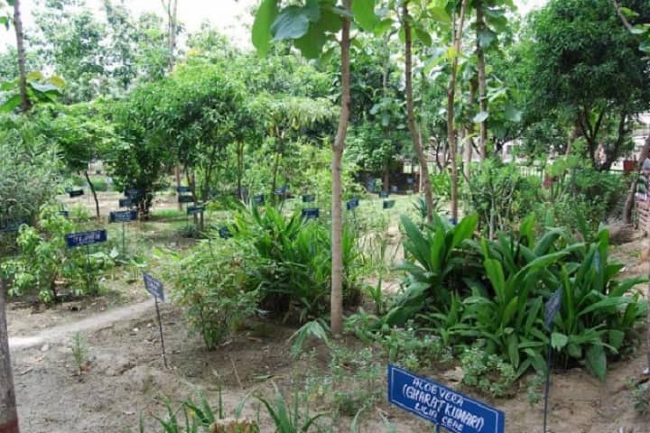 SD College of Pharmacy and Vocational Studies campus in Muzaffarnagar, Uttar Pradesh, India — photo 6