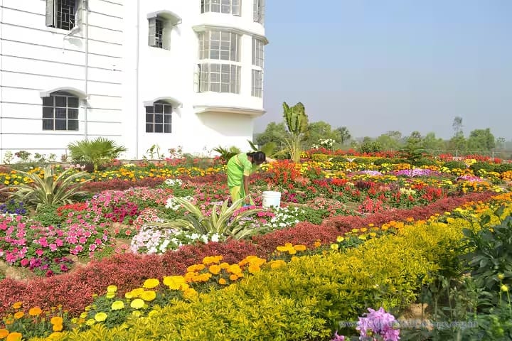 Raipur B Ed College campus in Bankura, West Bengal, India — photo 3