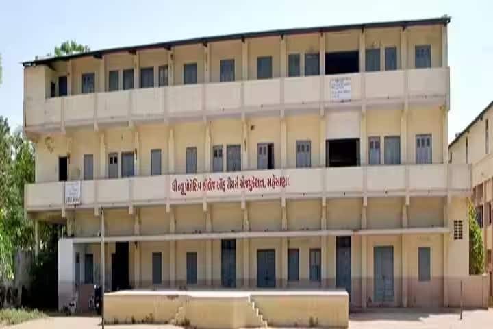 The New Progressive College of Teachers Education campus in Gujarada, Gujarat, India — photo 1