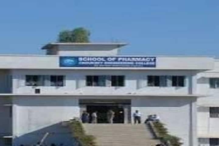 School of Pharmacy Chouksey Group of Colleges campus in Lalkhadan, Chhattisgarh, India — photo 1