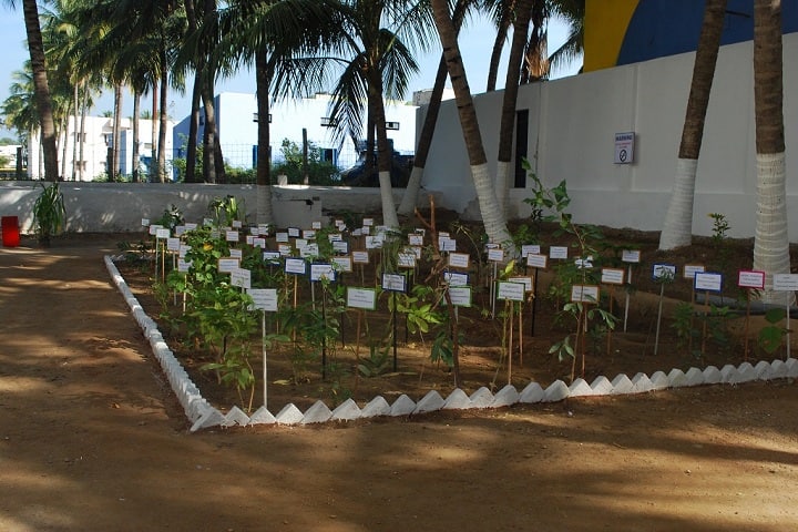 Mangalam College of Education campus in Anthiyur, Tamil Nadu, India — photo 6