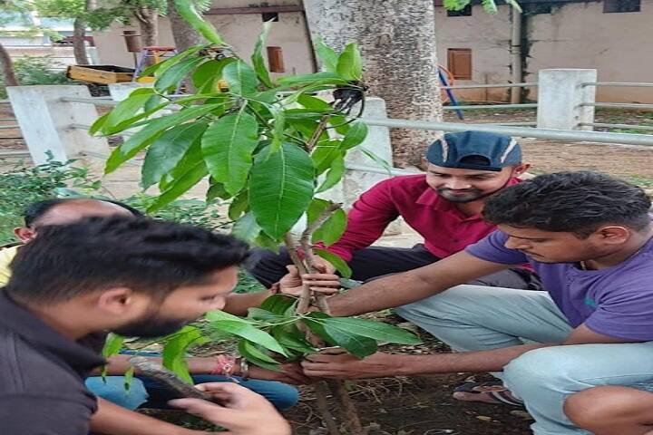 Dev Sanskrati College of Education and Technology campus in Durg, Chhattisgarh, India — photo 6