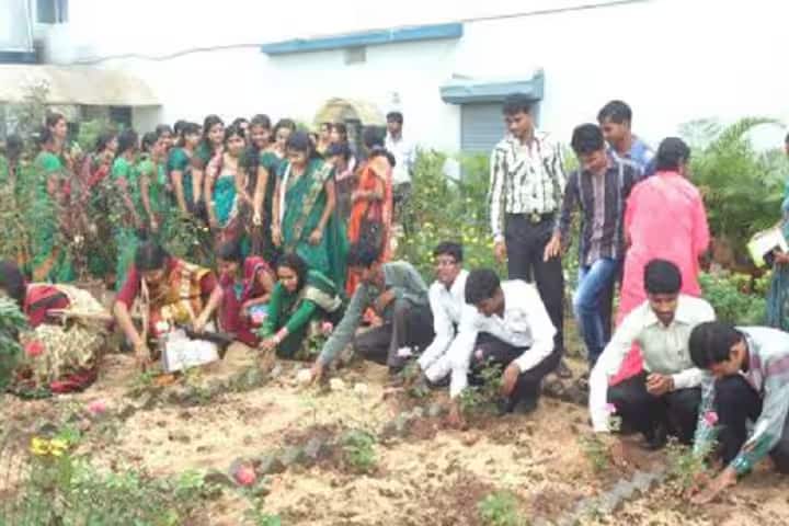 Mansa College of Education campus in Bhilai, Chhattisgarh, India — photo 2