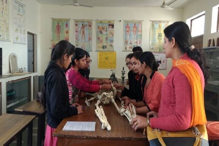 Vaish Arya Shikshan Mahila Mahavidyalaya campus in Bahadurgarh, Haryana, India — photo 6