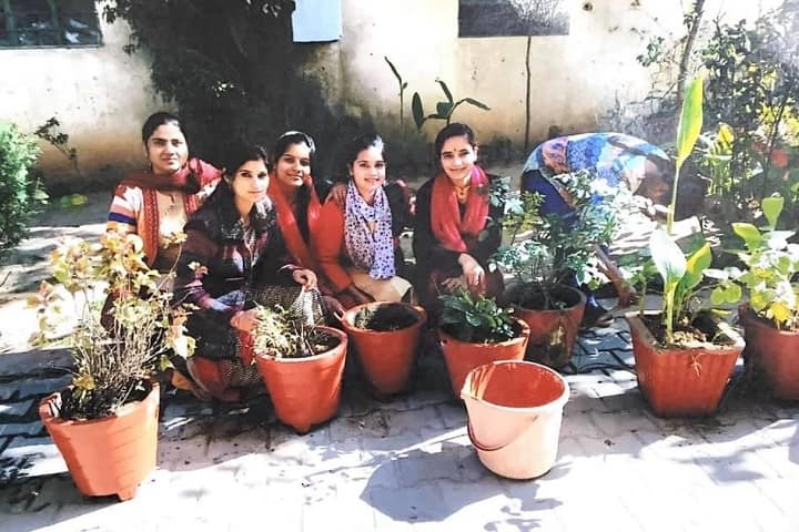 Siddhi Vinayak Teachers Training College campus in Jaipur, Rajasthan, India — photo 6