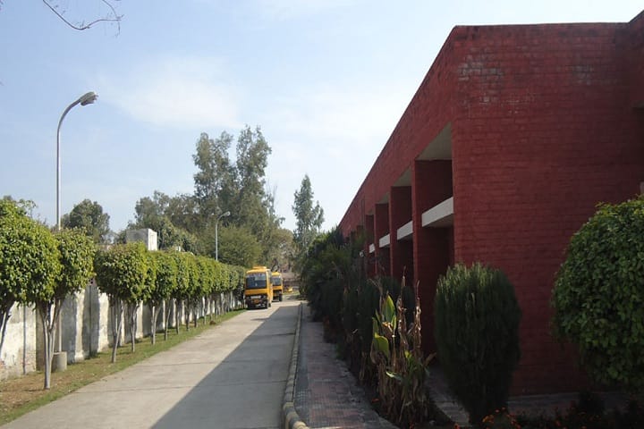State Institute for Rehabilitation Training and Research campus in Rohtak, Haryana, India — photo 3