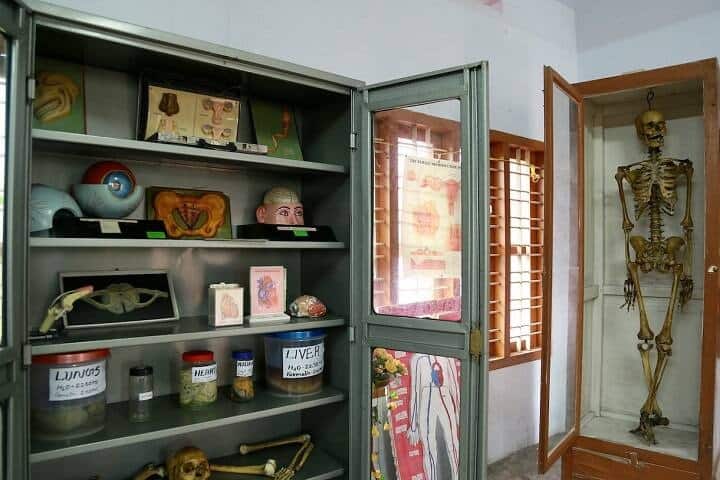 Little Lourdes College of Nursing campus in Kottayam, Kerala, India — photo 2