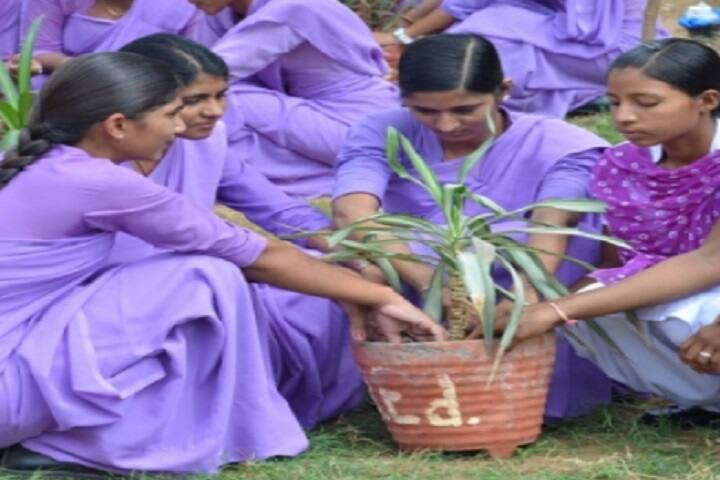 Sri Balaji Teachers Training College campus in Jaipur, Rajasthan, India — photo 5