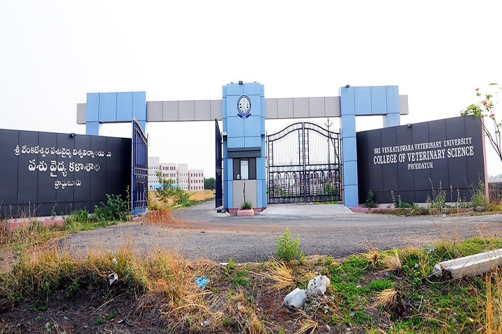 College of Veterinary Science campus in Proddatur, Andhra Pradesh, India — photo 2