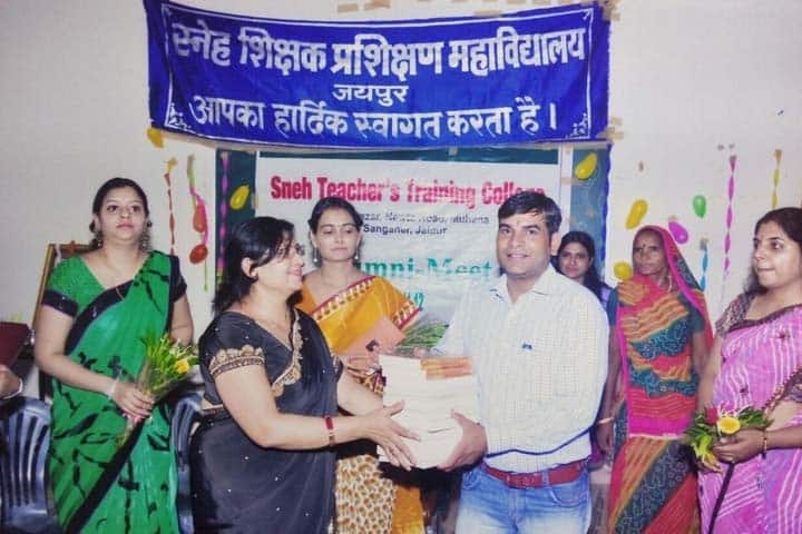 Sneh Teachers Training College campus in Jaipur, Rajasthan, India — photo 4