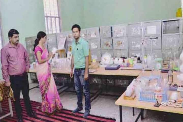 Ram Dulari Teachers Training Women College campus in Hindaun City, Rajasthan, India — photo 1
