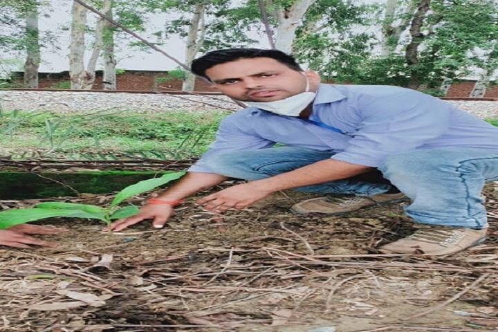Sainath College of Pharmacy campus in Sonbhadra, Uttar Pradesh, India — photo 4