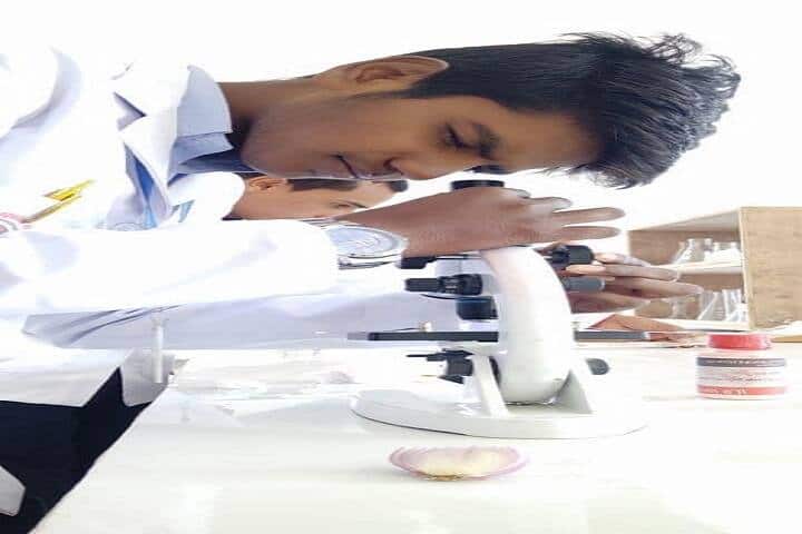 Sainath College of Pharmacy campus in Sonbhadra, Uttar Pradesh, India — photo 5