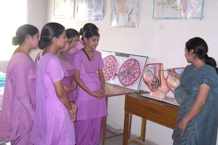Life Guard Nursing Institute campus in Sangrur, Punjab, India — photo 3