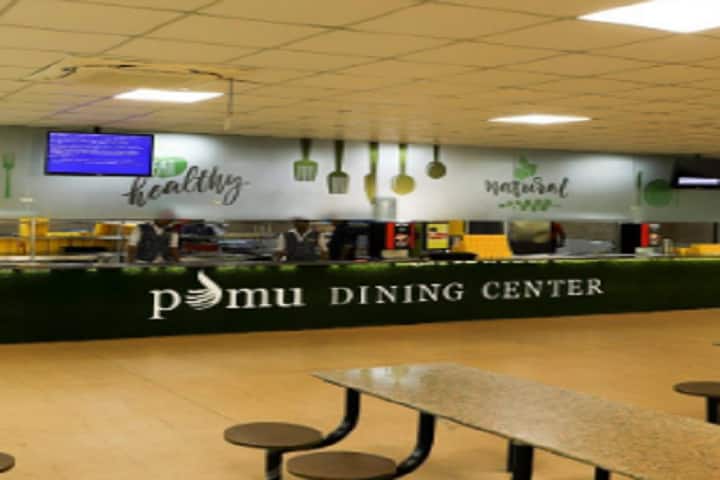 PDM University campus in Bahadurgarh, Haryana, India — photo 4