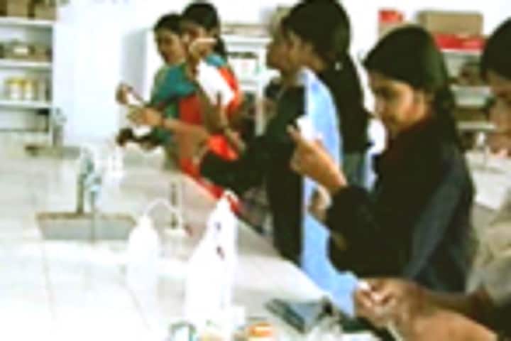 Ramadevi Mahila Teacher Training College campus in Nua, Rajasthan, India — photo 5