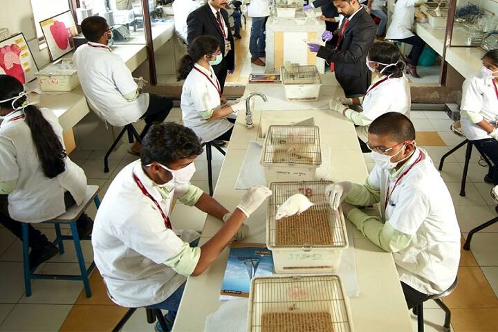 Rukmani College of Pharmacy campus in Moradabad, Uttar Pradesh, India — photo 1