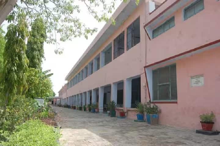 Gramotthan Vidyapeeth College of Education campus in Sangaria, Rajasthan, India — photo 2