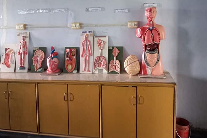 Medarametla Anjamma Mastan Rao College of Education campus in Narasaraopet, Andhra Pradesh, India — photo 2