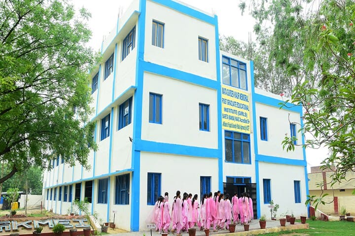 Mata Gurdev Kaur Memorial Educational Institute campus in Bareta, Punjab, India — photo 1