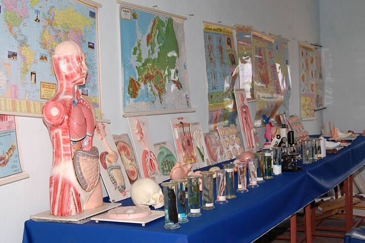 Akshara College of Education campus in Maddipadu, Andhra Pradesh, India — photo 5