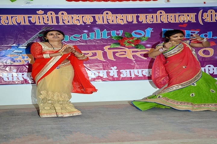 Mahatma Gandhi TT College campus in Shrimadhopur, Rajasthan, India — photo 3