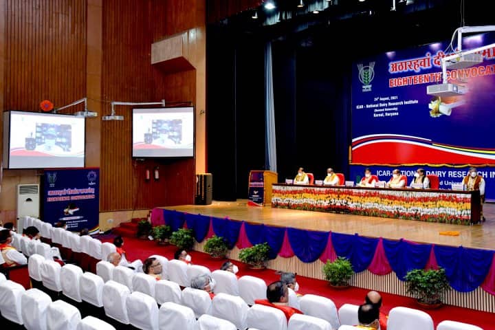 NDRI Karnal campus in Karnal, Haryana, India — photo 4