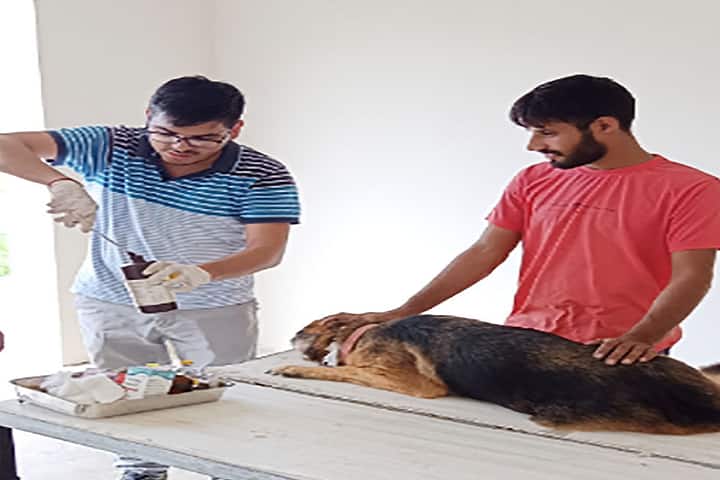 MR College of Veterinary Sciences campus in Jhajjar, Haryana, India — photo 6