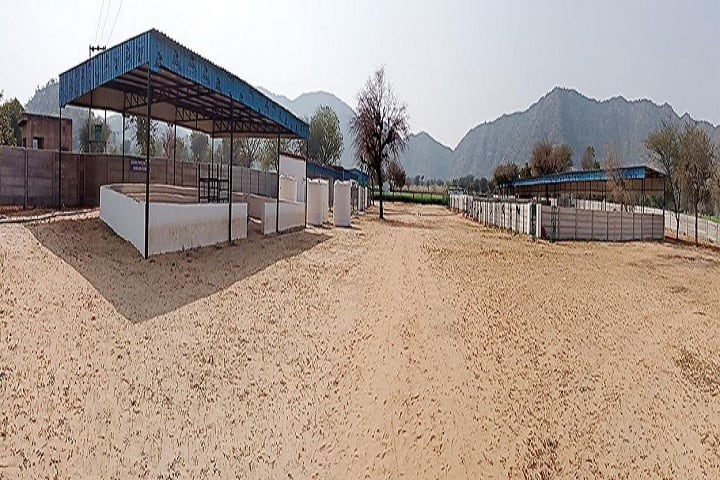 Bhumika Institute of Veterinary Sciences campus in Mohindergarh, Haryana, India — photo 2