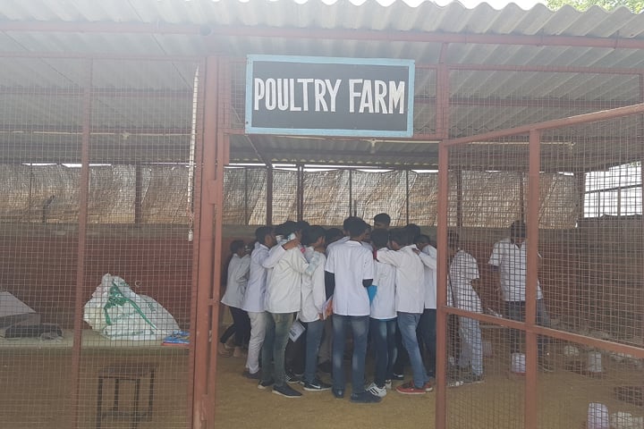 Apex Institute of Veterinary Livestock Development Diploma campus in Tohana, Haryana, India — photo 4