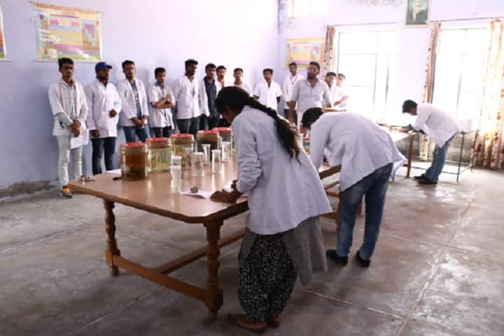 Apex Institute of Veterinary Livestock Development Diploma campus in Tohana, Haryana, India — photo 6
